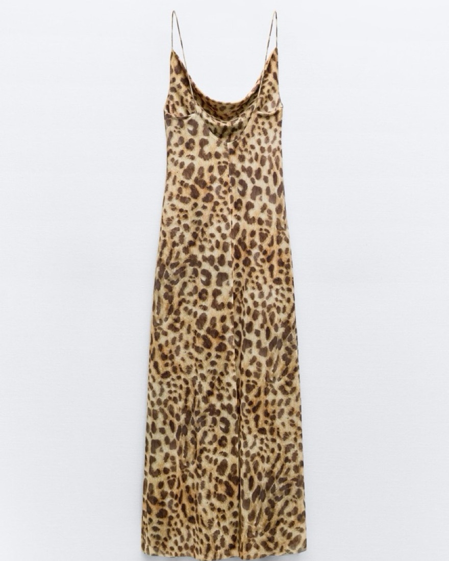 Zara Leopard Print Maxi Dress Pickle