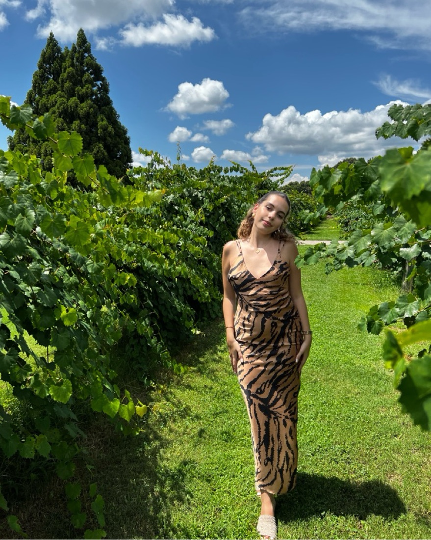 Tulle Dress Zara Animal Print Wrap Dress ZARA RUFFLED LONG ANIMAL