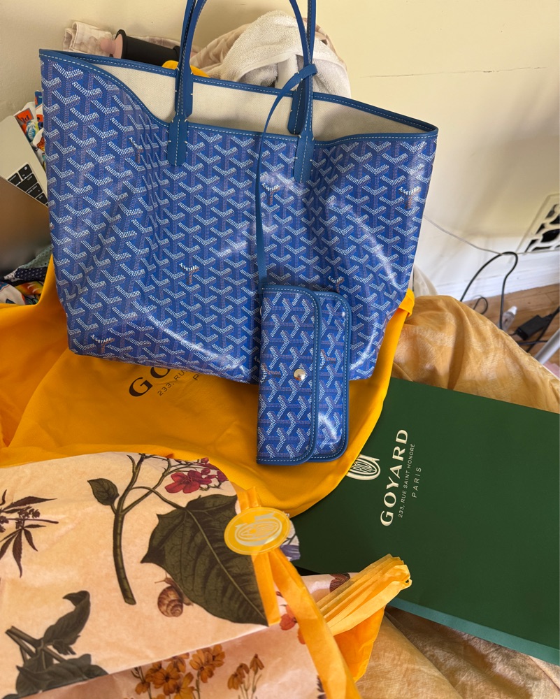 Goyard St Louis Pm Sky Blue Authentic Pickle