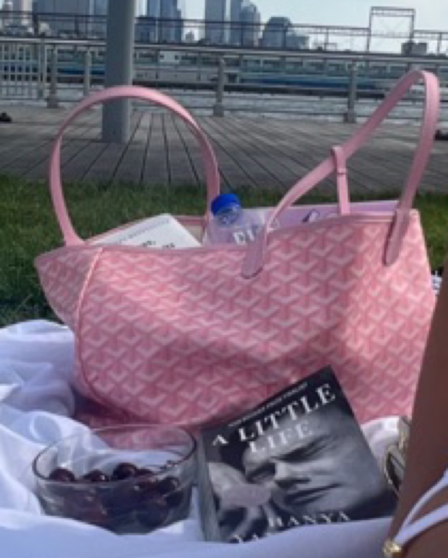 Pink Goyard Medium Tote! Pickle