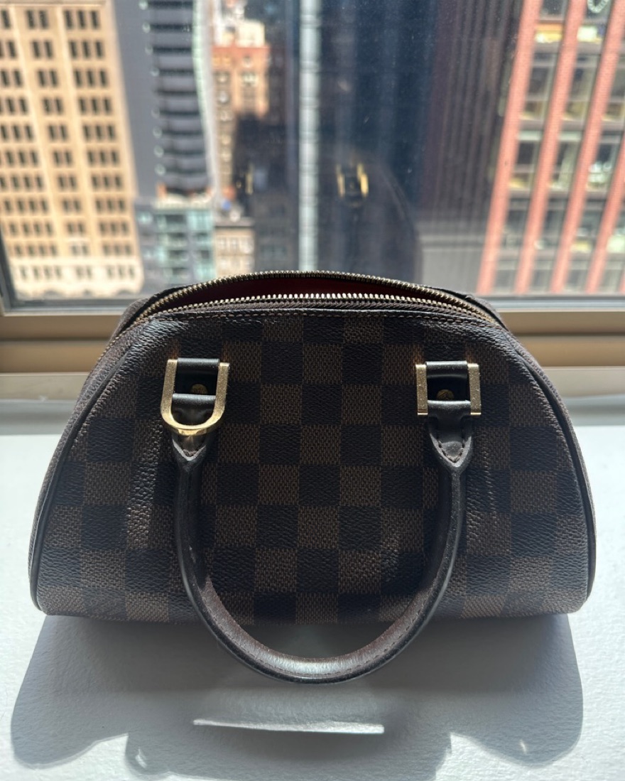 Louis Vuitton Damier Ebene Ribera Mini Pickle