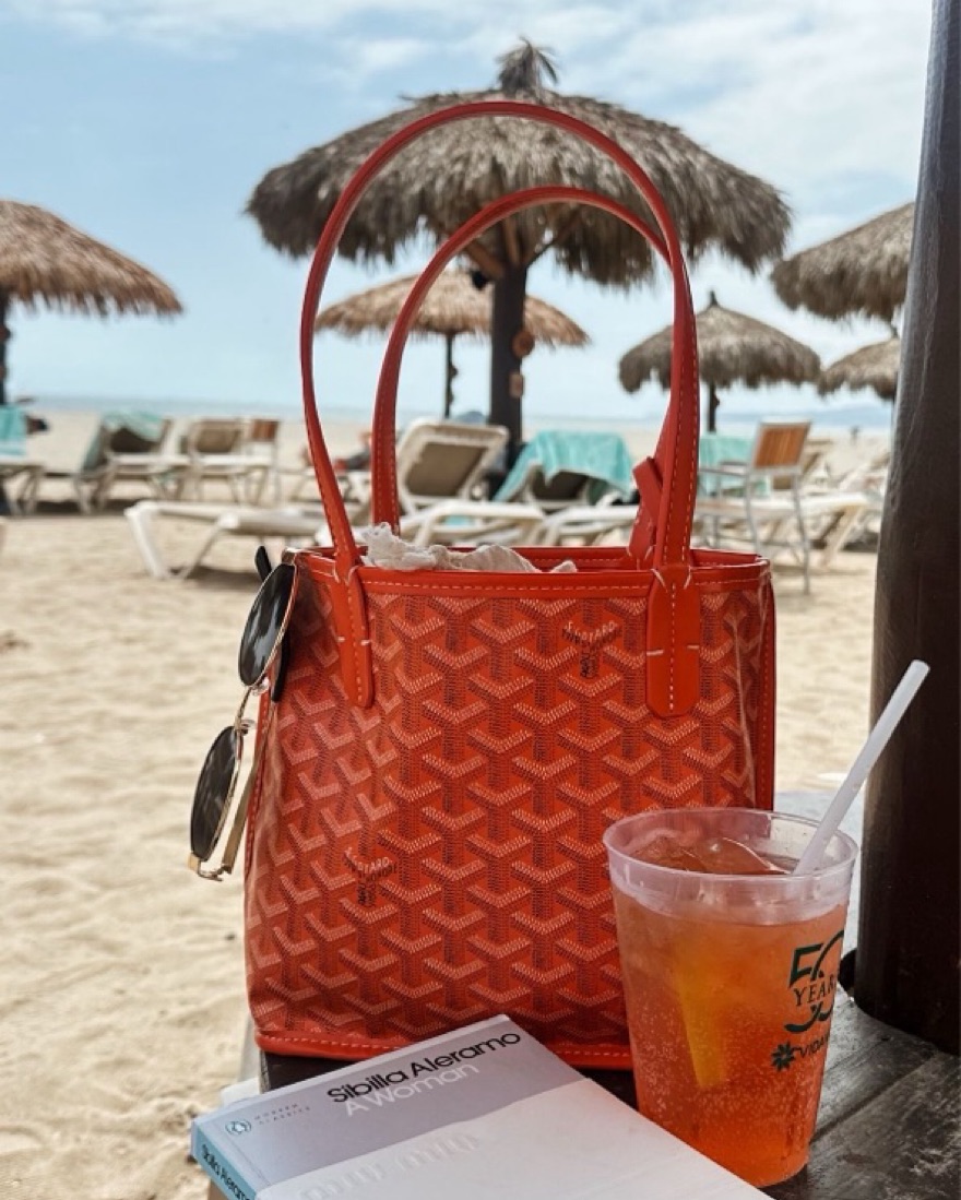 Small Goyard Tote Goyard Anjou Mini Reversible Calfskin And Canvas