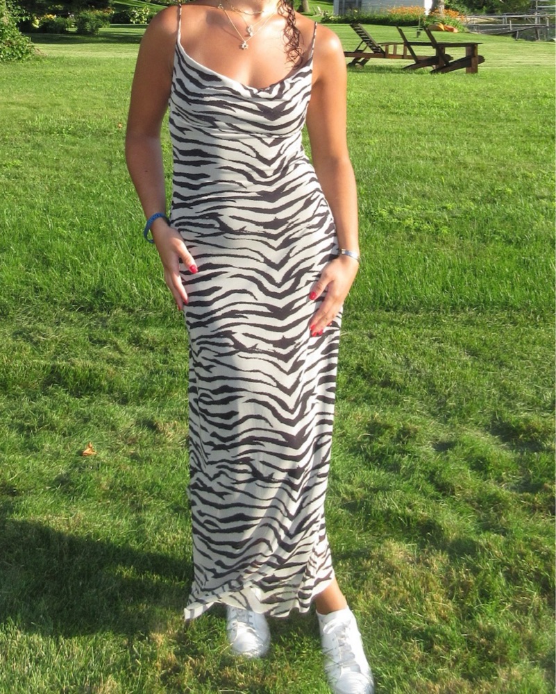 Animal Print Zara Maxi Dress Pickle
