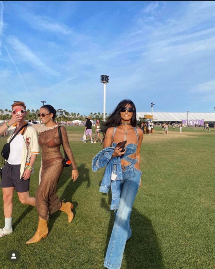 Revice Denim THE VICEROY JUMPSUIT Pickle