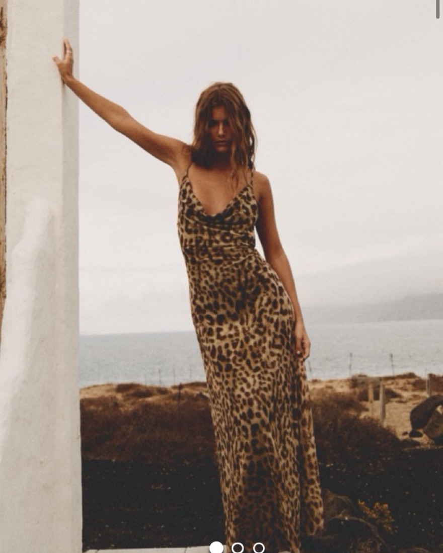 Zara Leopard Print Tule Dress Pickle