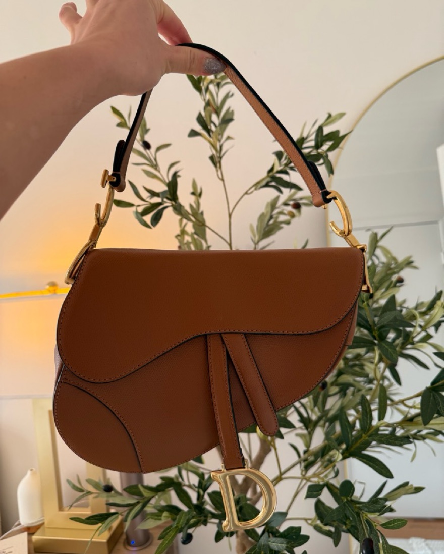 Dior Saddle Bag Pickle