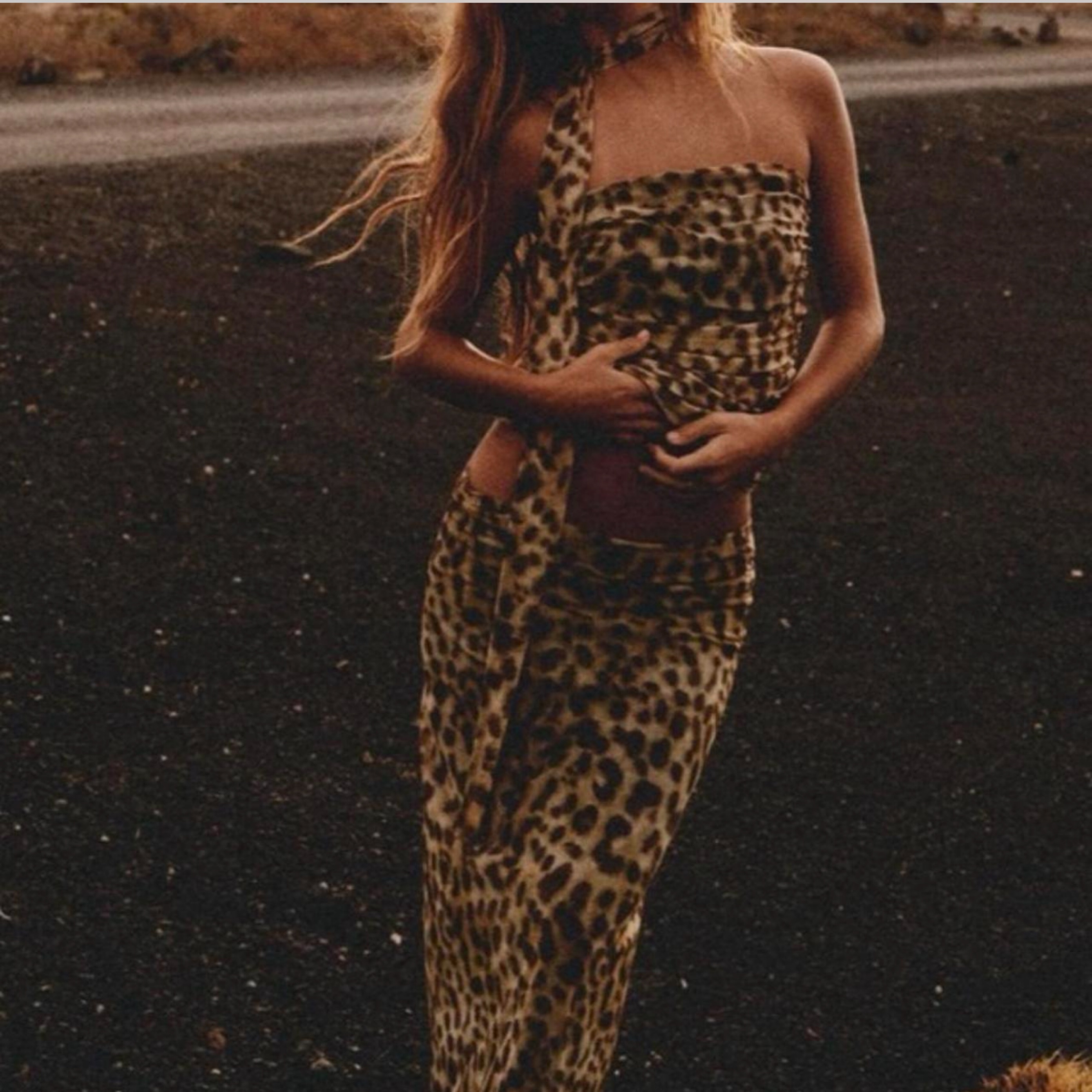 Zara Two Piece Leopard Ser Pickle