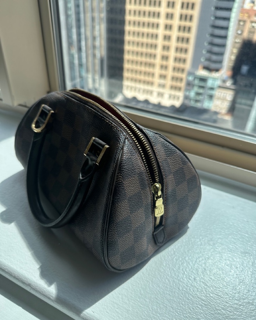 Louis Vuitton Damier Ebene Ribera Mini Pickle