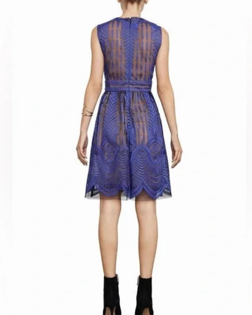 BCBG V-neck Blue Lace Dress by BCBGMAXAZRIA - Pickle