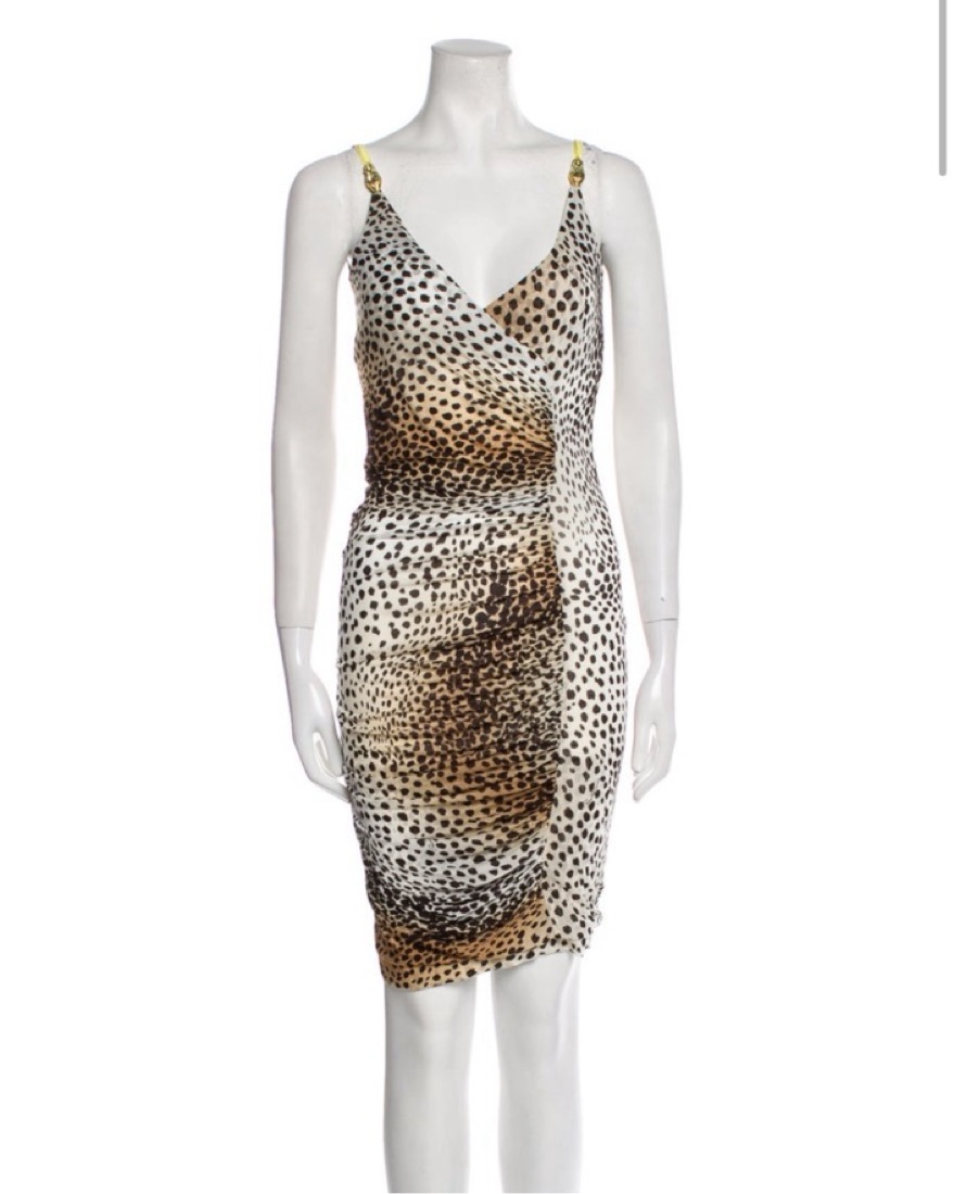 Roberto Cavalli Animal Print Dress | Pickle