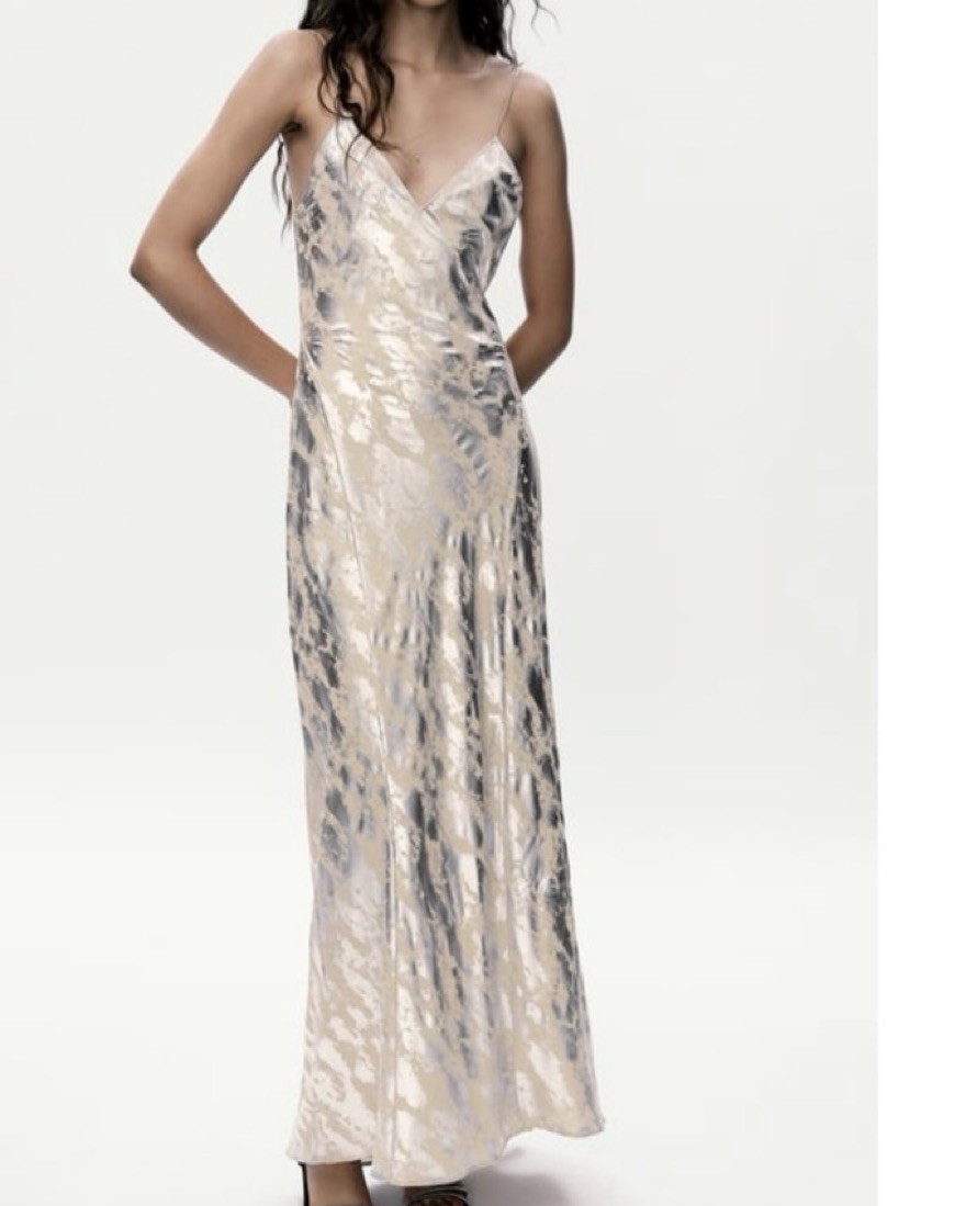Zara Silver Print Maxi Dress | Pickle