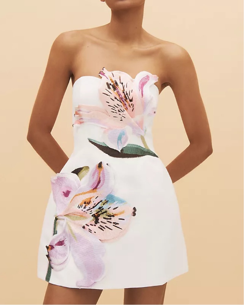 Leo Lin Rosario Floral Mini Dress by Leo Lin - Pickle