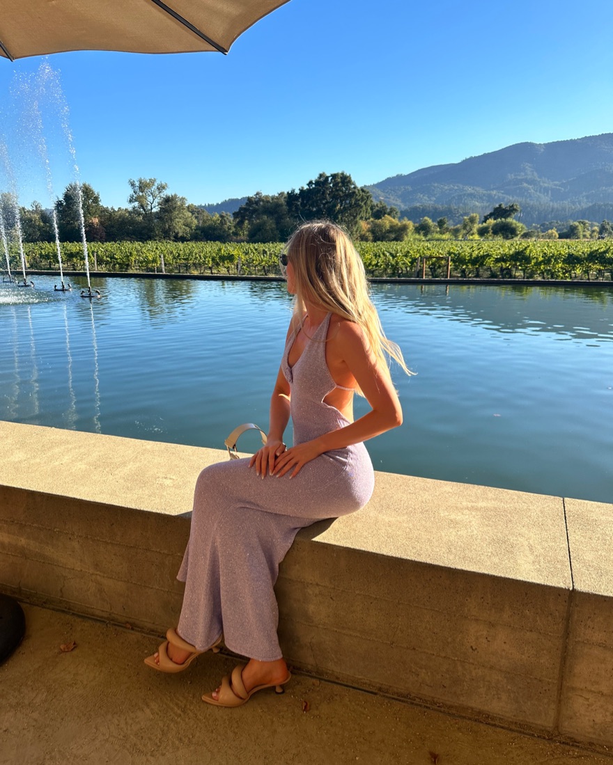 asta resort daphne dress x REVOLVE Daphne Dress