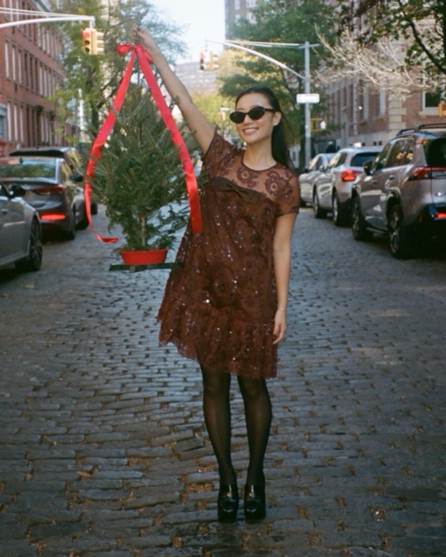 coach sequin dress Sequin Round Neck Long Sleeve Mini Dress  The Enchanted Coach, LLC