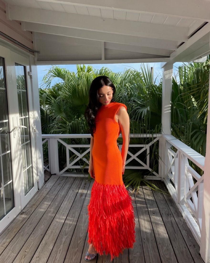 AJE FRINGE DRESS | Pickle
