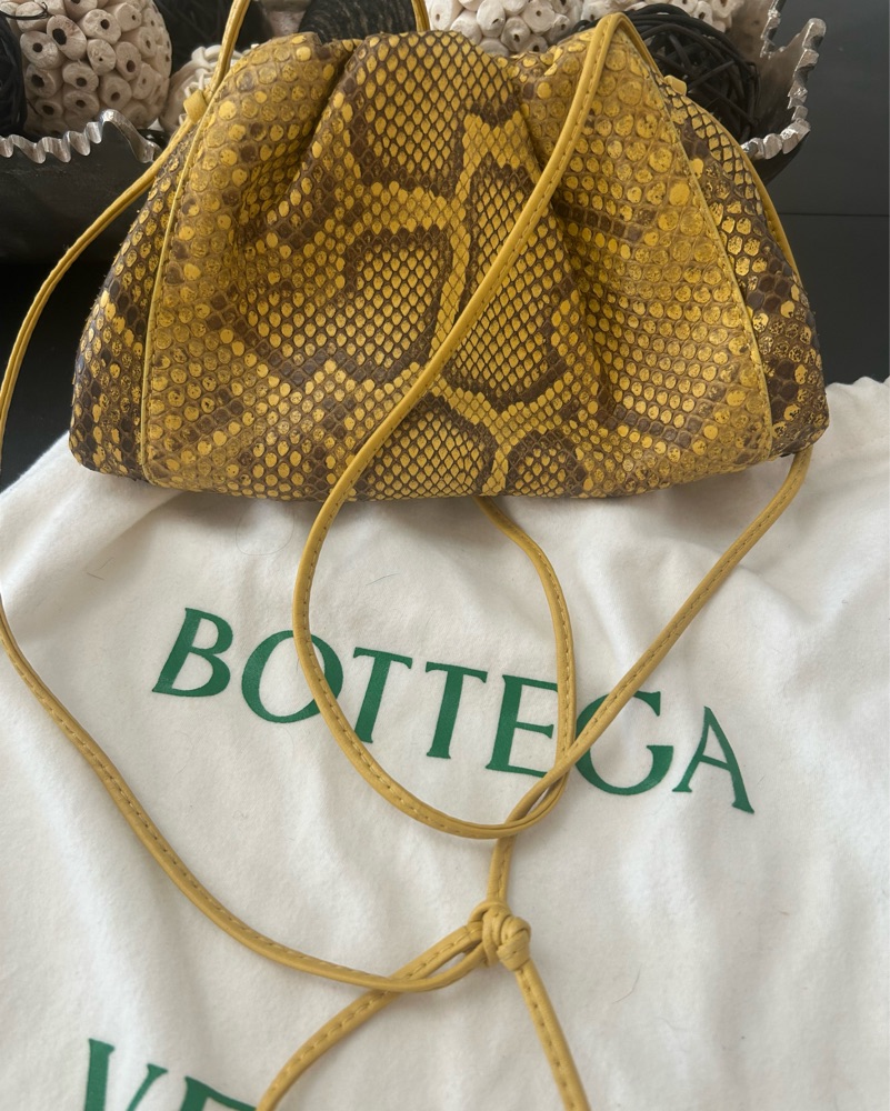 Bottega Veneta Python Mini Bag | Pickle