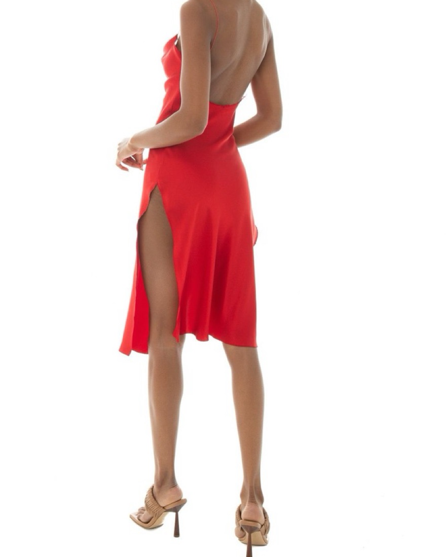 Are You Am I Nique Dress In Red Pickle