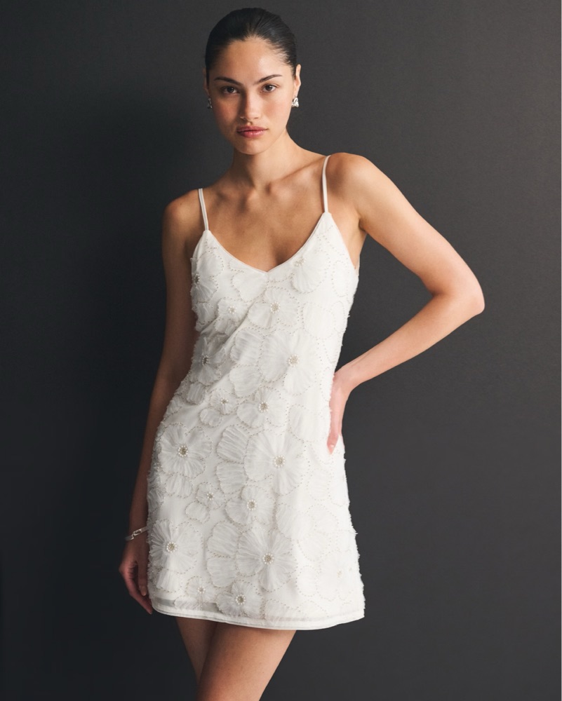 Shop Abercrombie and Fitch Dresses - Pickle