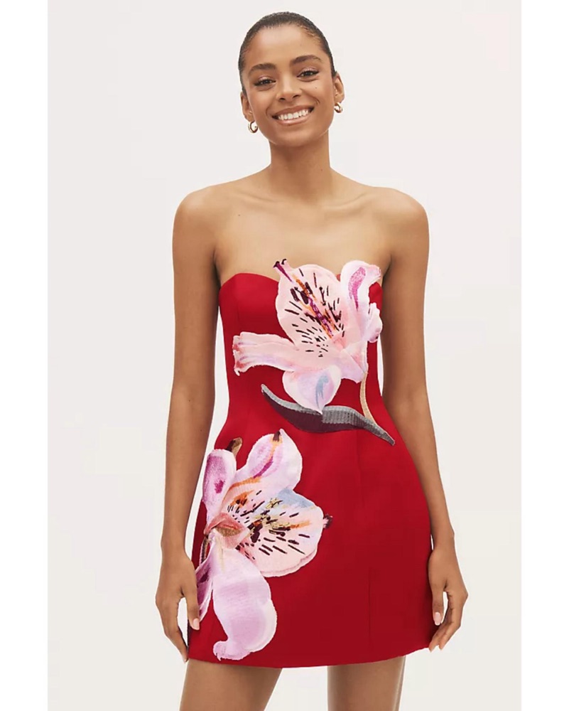 Leo Lin Rosario Mini Dress Red by Leo Lin - Pickle