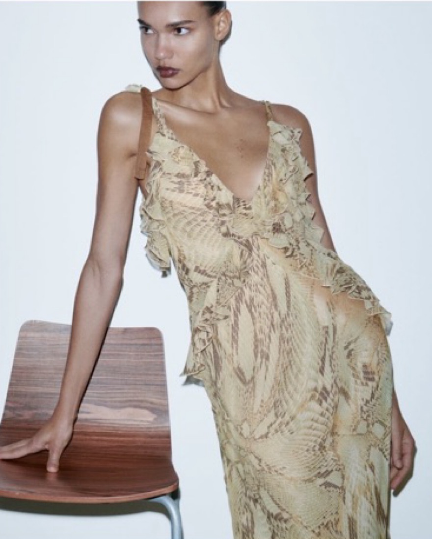 Zara Snake Print Long Flowy Dress by Zara - Pickle