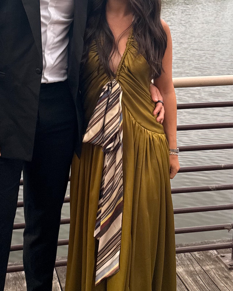siedrs exclusive liessa plunged satin maxi dress Siedres Exclusive Liessa Plunged Satin Maxi Dress in Metallic