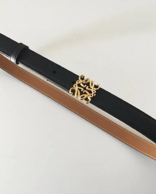 Loewe Belt - New With Tags | Pickle
