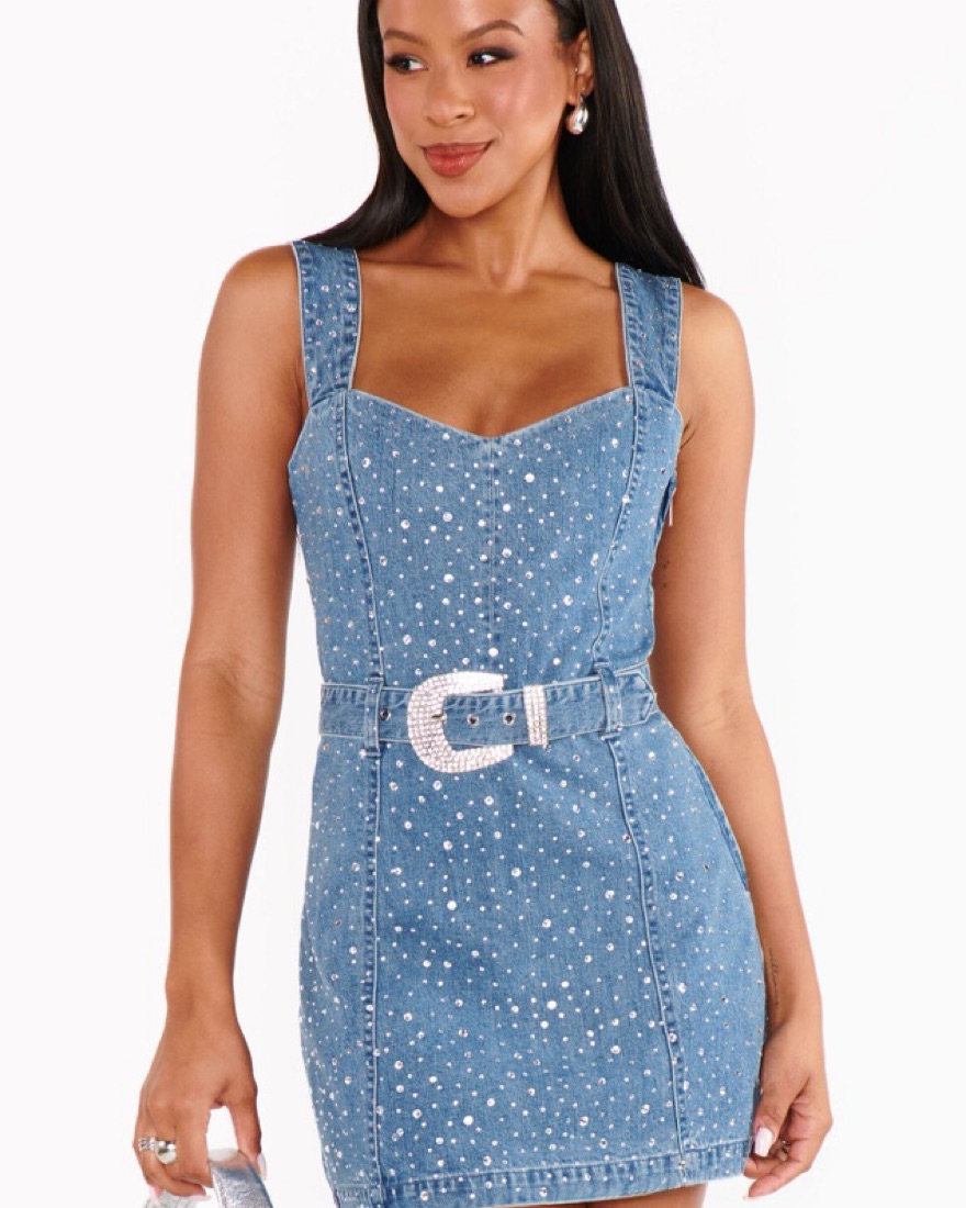 Show Me Your Mumu Vegas Denim Dress by Show Me Your Mumu - Pickle