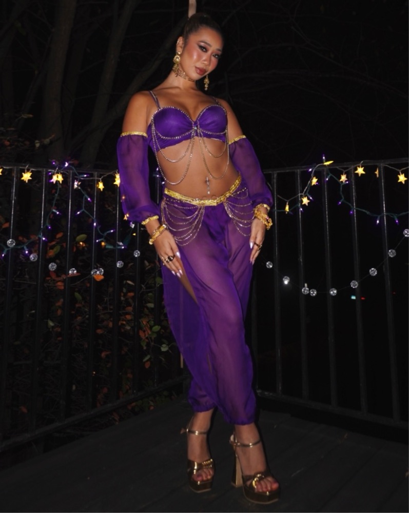 Sexy Purple Genie Halloween Costume by Trashy Lingerie - Pickle