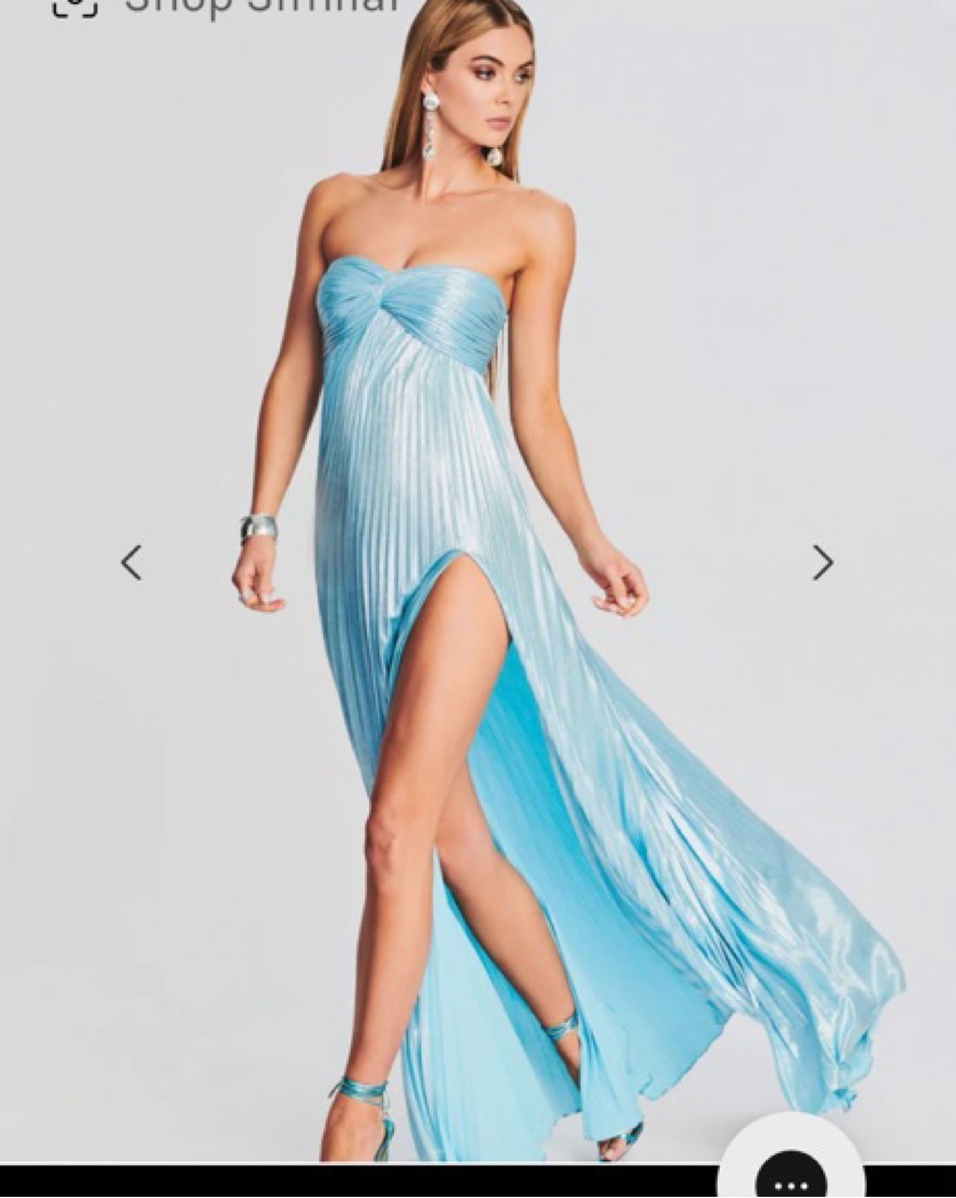 sachin and babi light blue dress Trader Joe's Champagne Style Vinaigrette
