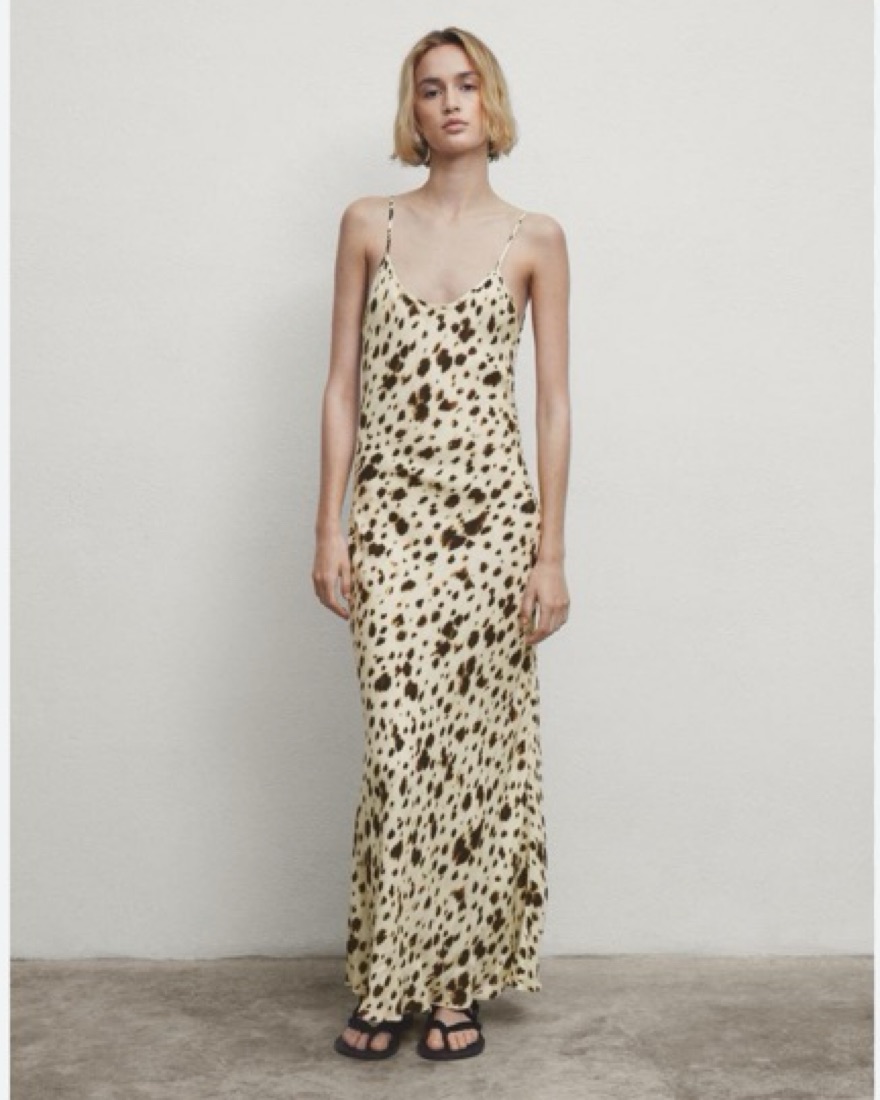 Massimo Dutti Long Printed Dress | Pickle