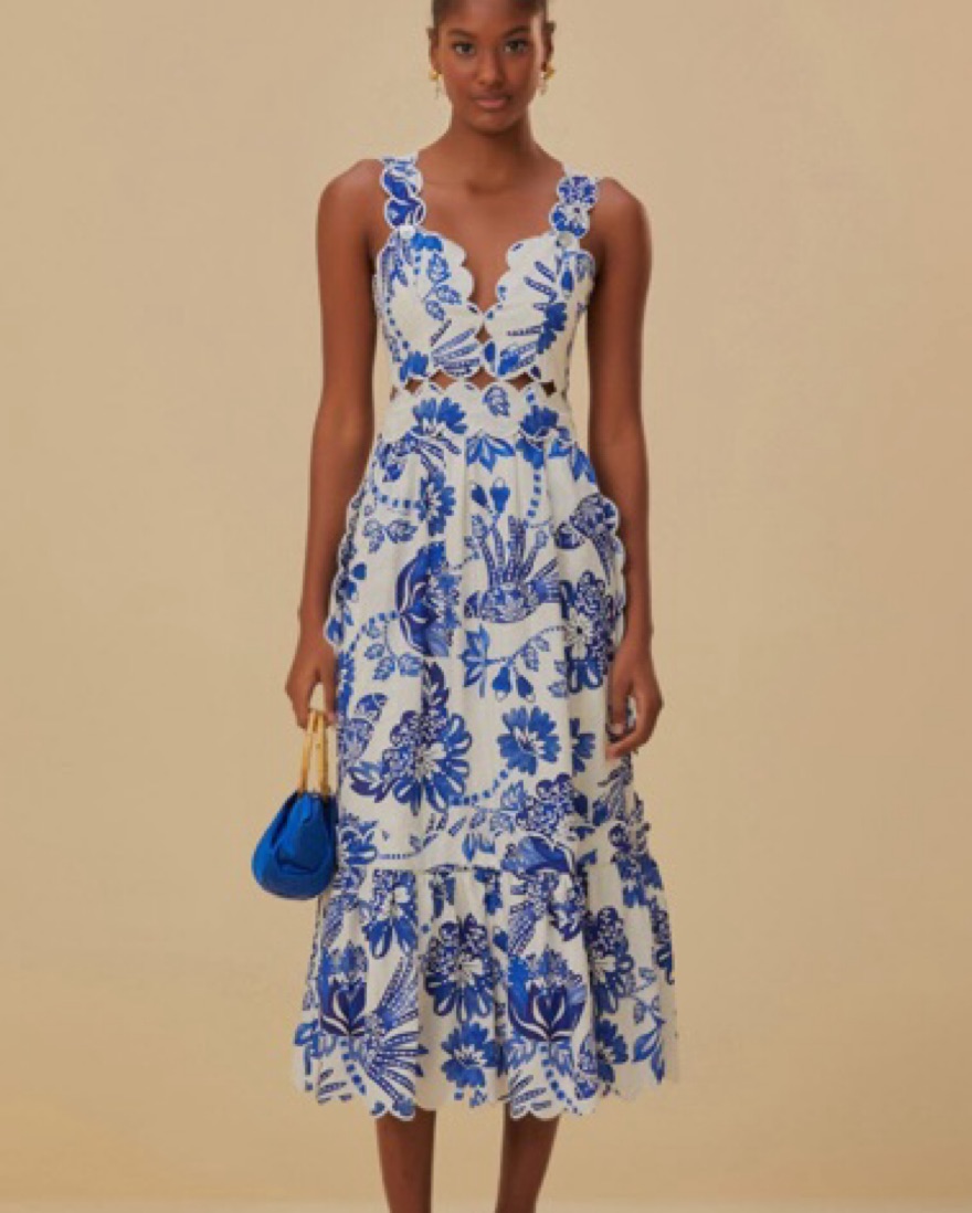 Farm Rio Dress | Pickle