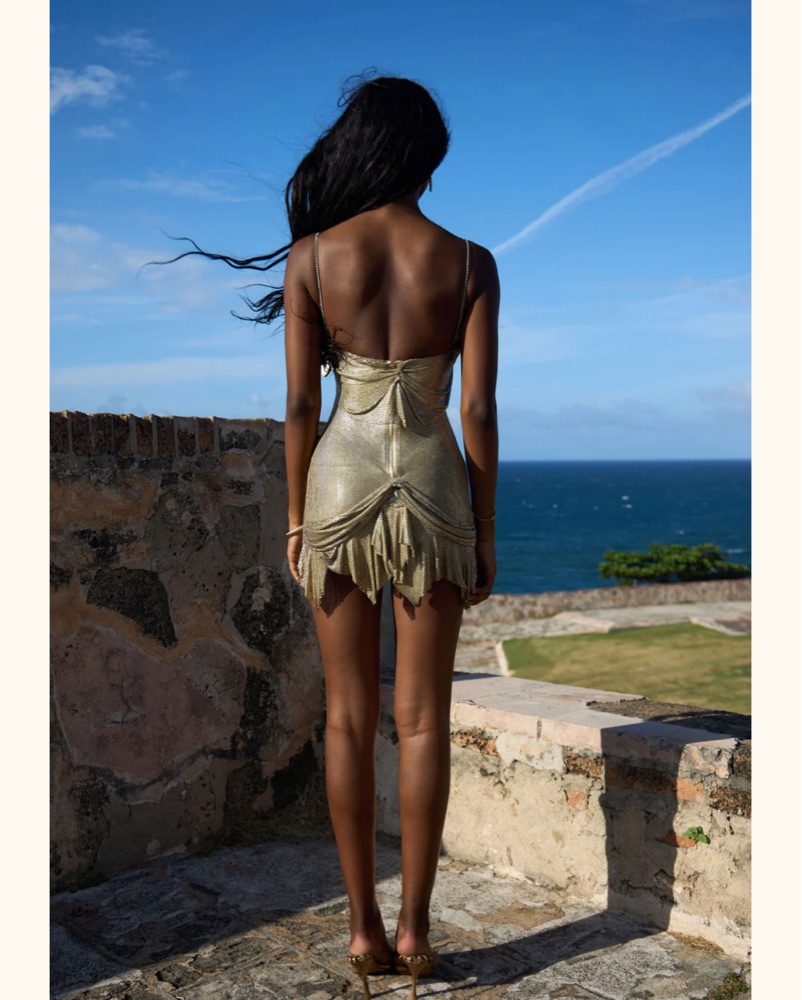 Mirror Palais Knight's Tale Dress by Mirror Palais - Pickle