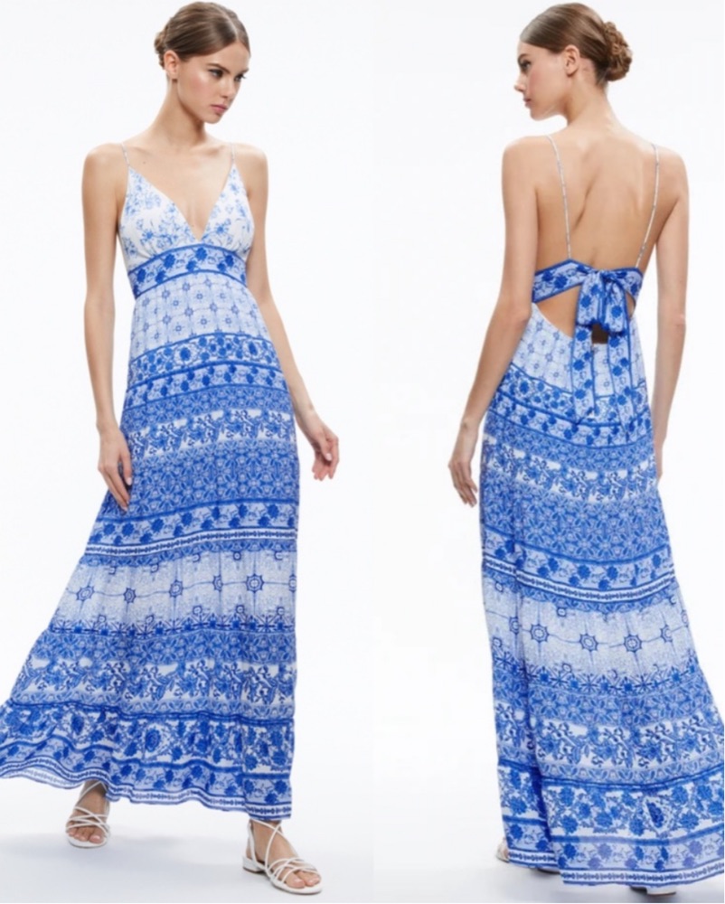 Alice & Olivia Blue/White Maxi Dress by Alice & Olivia - Pickle