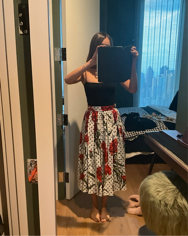 Dolce & Gabbana Midi Skirt ($675 Value) | Pickle