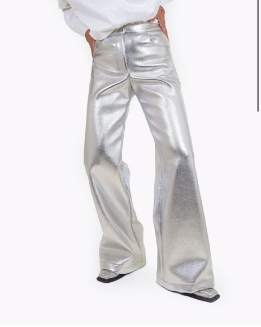 LAAGAM SILVER PANTS | Pickle