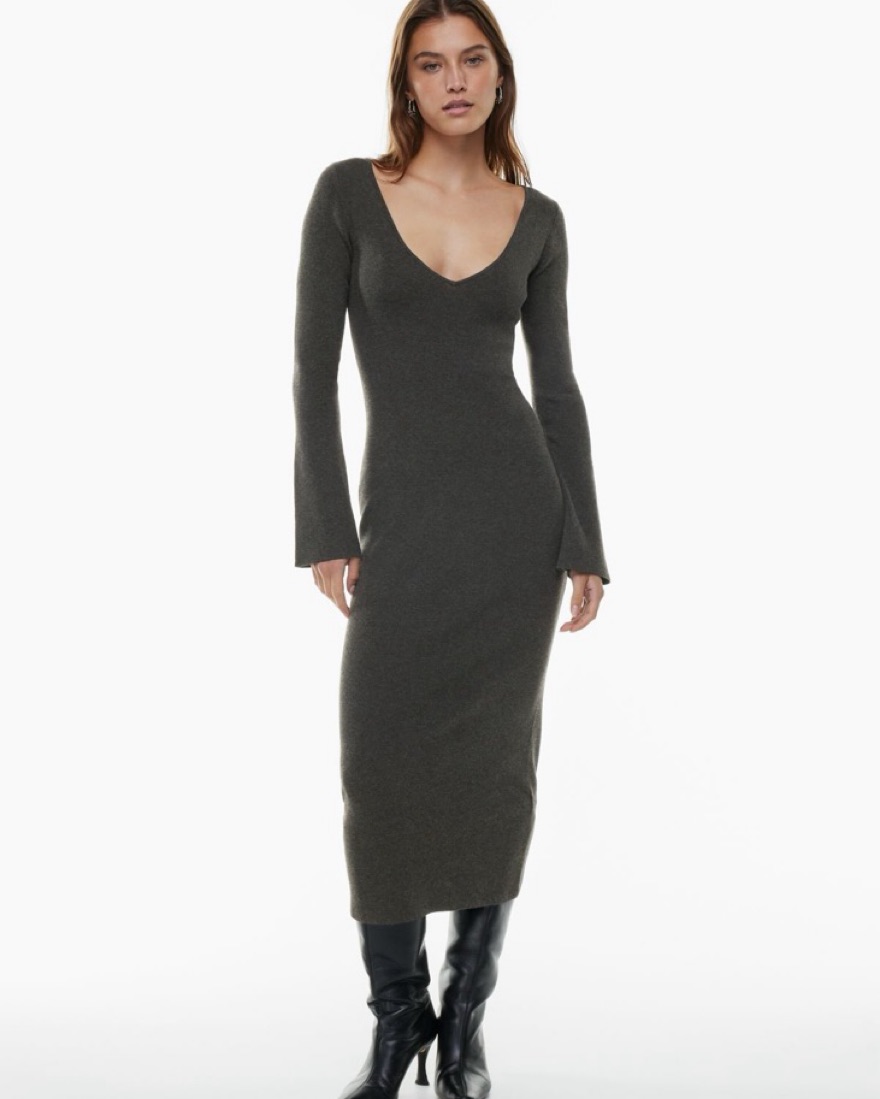 Aritzia Wilfred Moore Dress | Pickle