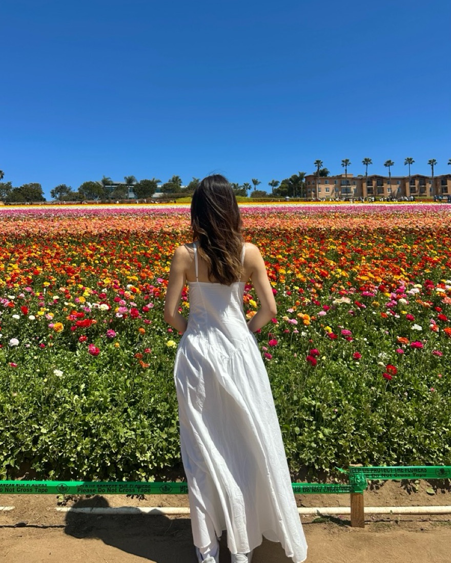 Zara White Drop Waist Maxi Dress by Zara - Pickle
