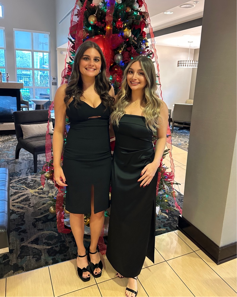 formal dresses aritzia Ode Dress