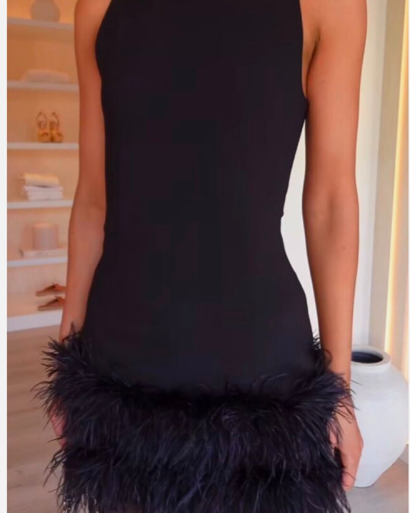 スーツ・フォーマル・ドレス 2WAY LADY LIKE FEATHER DRESS Black WB_CL132345002-