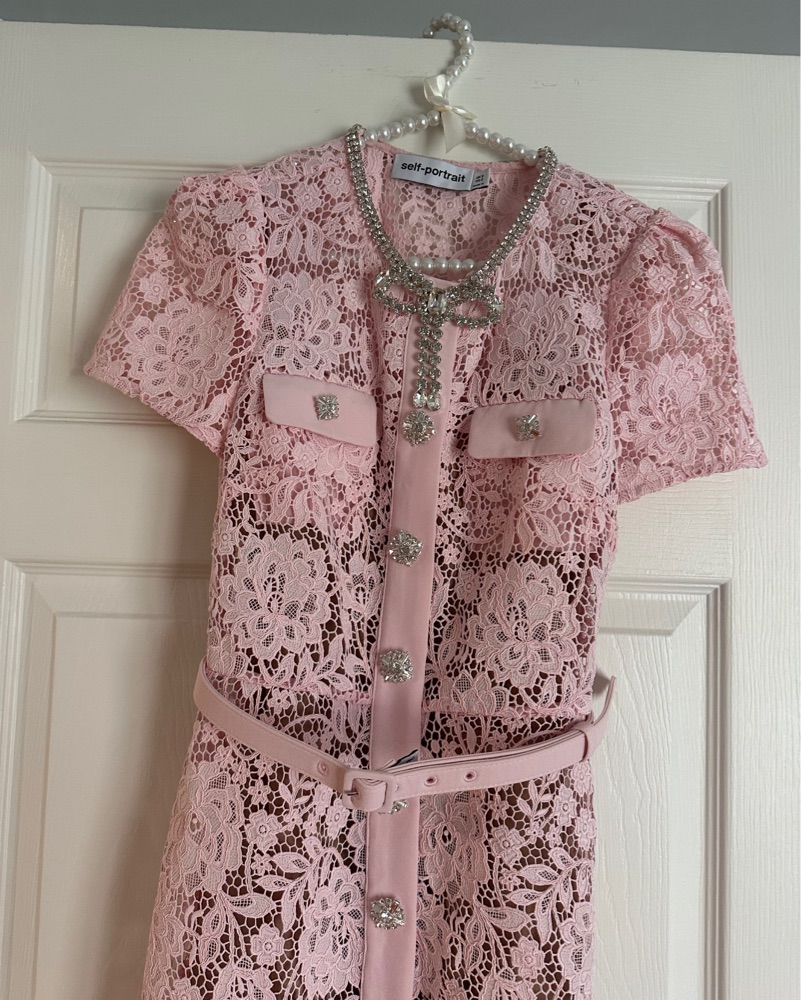 self-portrait ピンク レース ノースリーブワンピース US 2 Pink Lace Self Portrait Dress by Self Portrait - Pickle