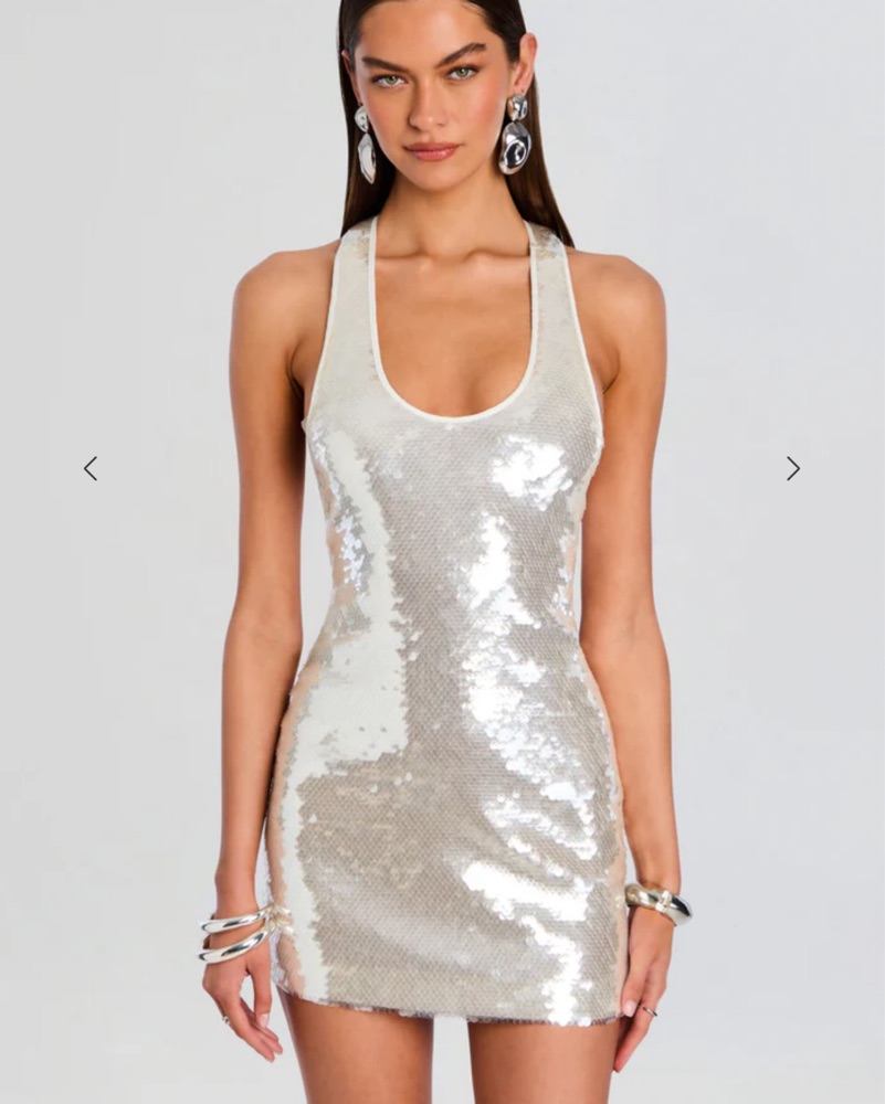 alondra mini dress silver Araminta Mini Dress
