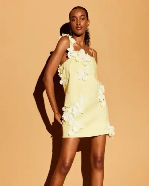 Zimmermann High Tide Lift Off Mini by Zimmermann - Pickle
