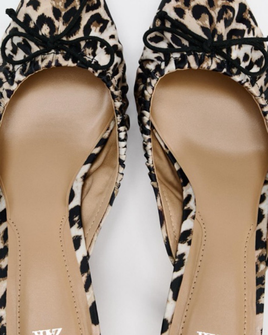 [hieta] / ☆ Tanny / Zebra Zara Kitten Cheetah Heel | Pickle