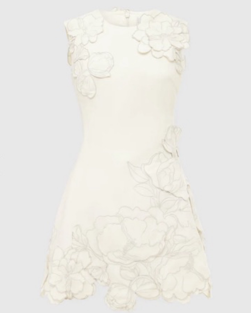 Leo Lin Chloe Appliqu Mini Dress by Leo Lin - Pickle