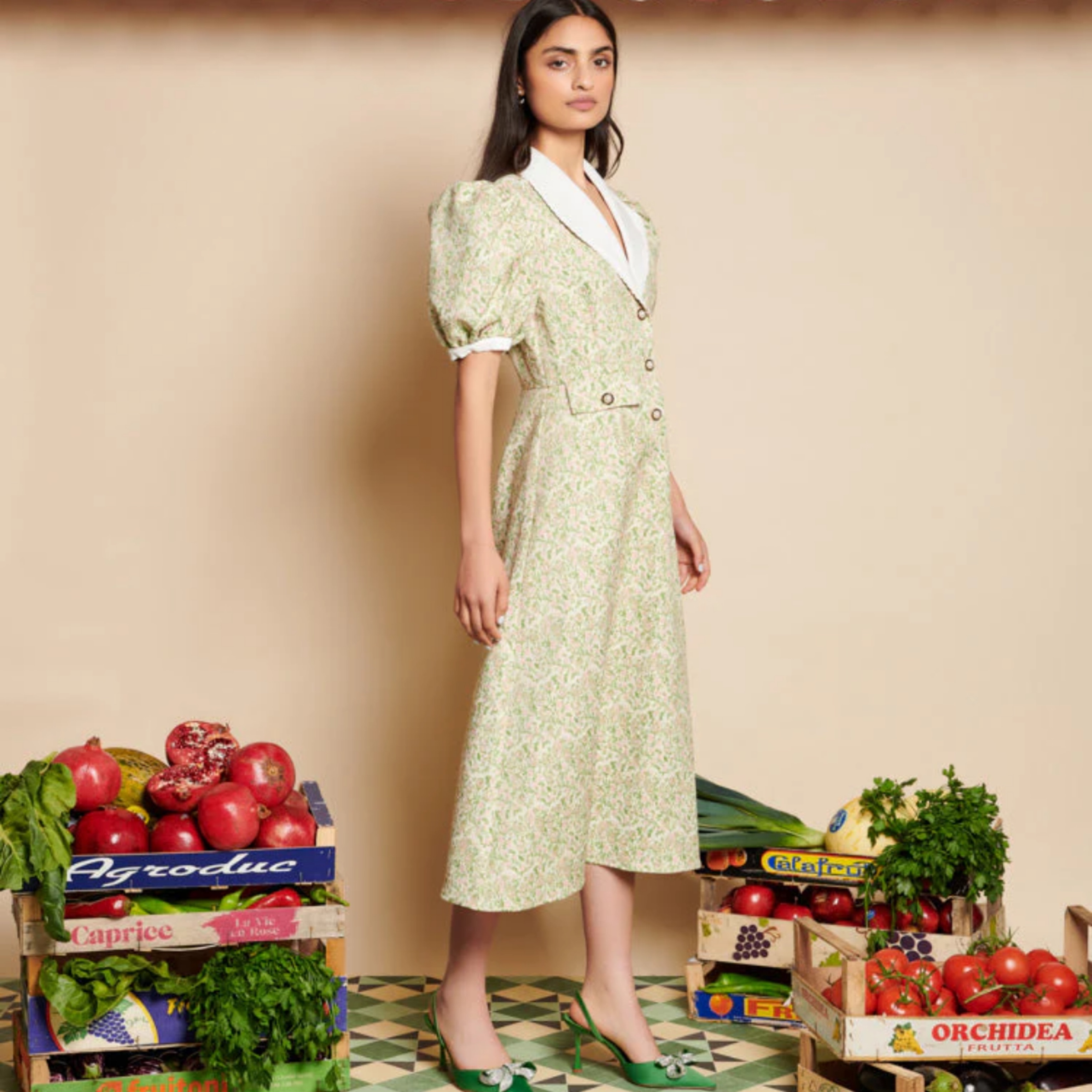 jacquard volume dress ［size1］ Regent Floral Jacquard Dress | Tadashi Shoji