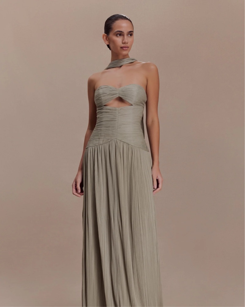 jacqui pleated maxi dress Jacqui Maxi Dress