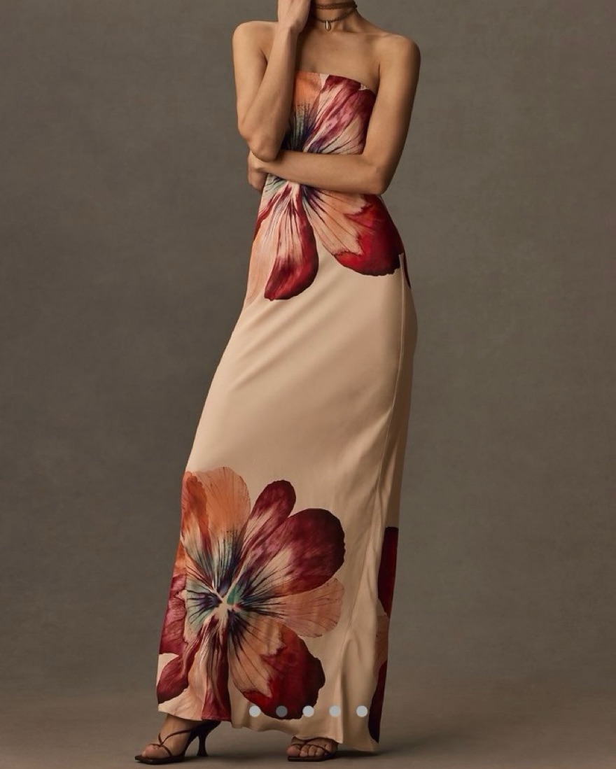 【美品】6枚セット Anthropologie Fleur De Lys Anthropologie Fleur Strapless Maxi Dress | Pickle