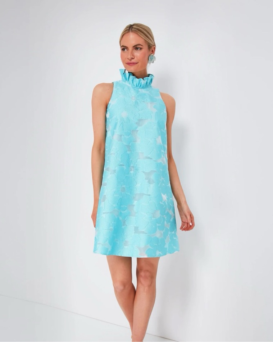 Tuckernuck Cyan Fil Coupe Blythe Dress by Tuckernuck - Pickle