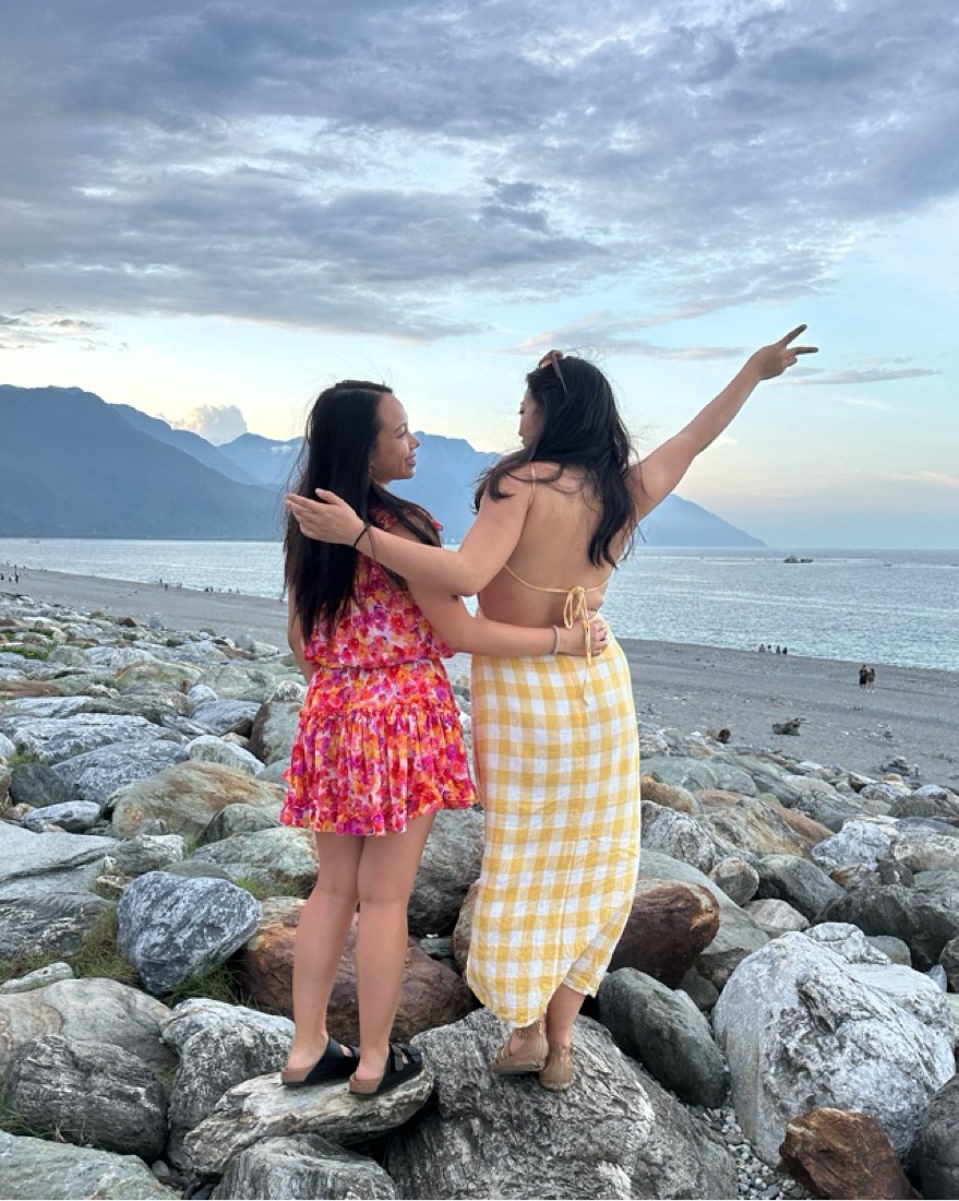 Misa Los Angeles Aila Dress | Pickle