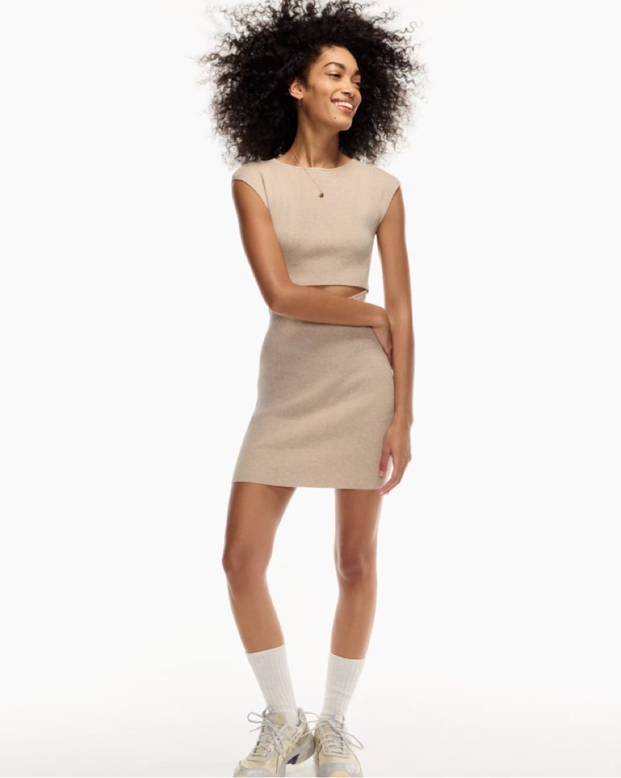 Aritzia Cut-Out Knit Mini Dress | Pickle